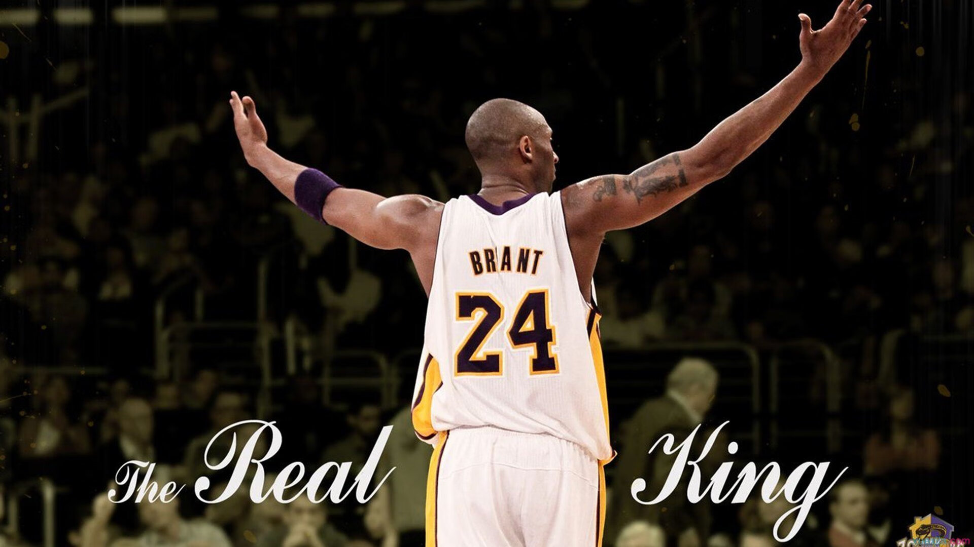 随机守望先锋 战队阵容调整加速，守望先锋组排机制