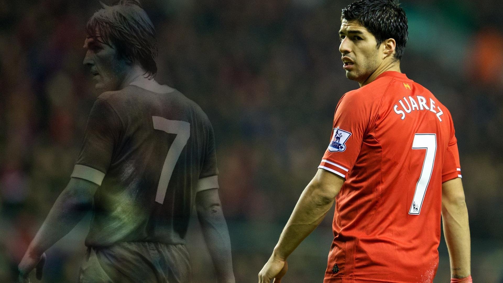 随机布莱顿快速反击犀利，海鸥军团冲击佳绩，布莱顿为什么叫海鸥