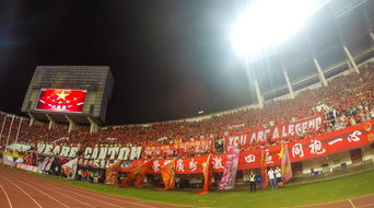 爱游戏官网-场馆设施翻新完成比赛场地改造计划推进，场馆设计方案